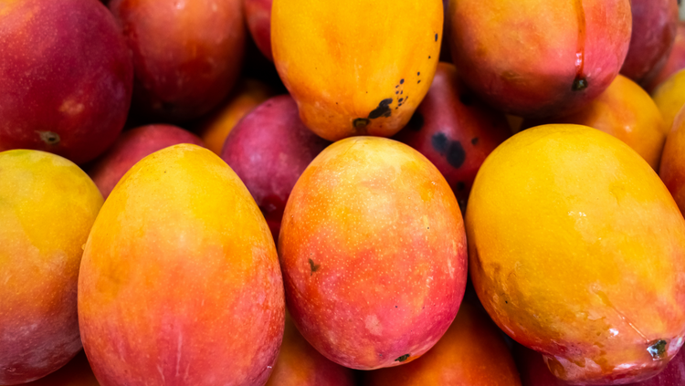 Don't be Salty Sugar Lip Scrub~ Mango